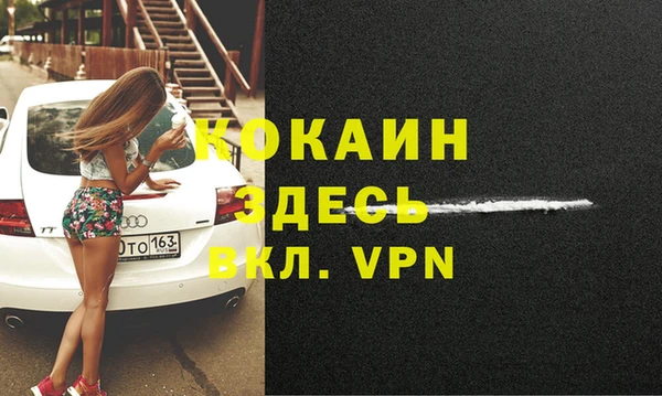 прущие грибы Беломорск