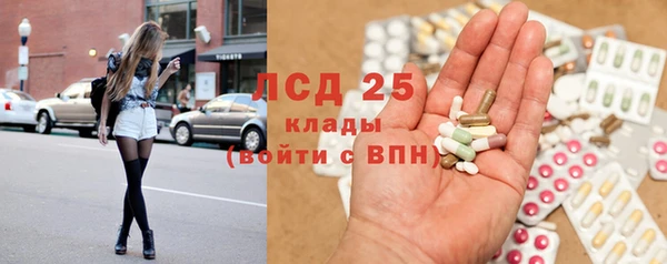 прущие грибы Беломорск