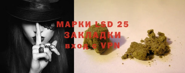 прущие грибы Беломорск