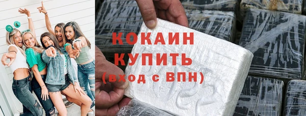 прущие грибы Беломорск