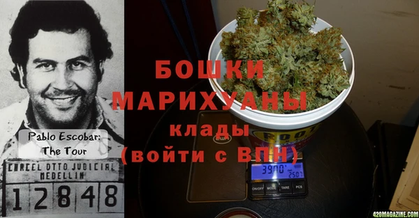 прущие грибы Беломорск