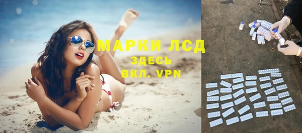 прущие грибы Беломорск
