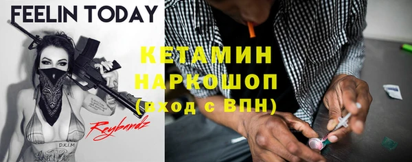 прущие грибы Беломорск
