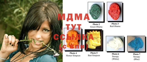 прущие грибы Беломорск