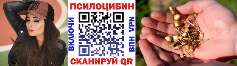 магазин  наркотиков  Куса  Псилоцибиновые грибы Cubensis 